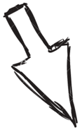flesh