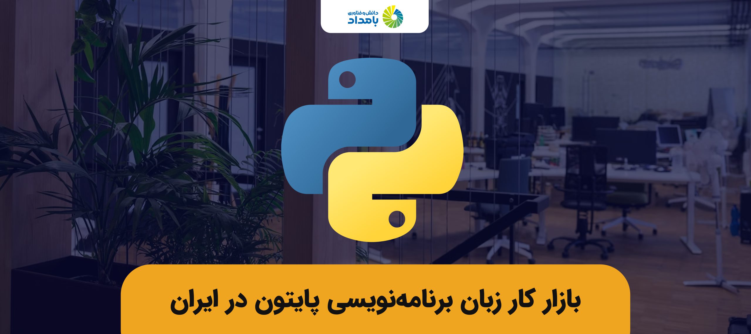 آیا بازار کار زبان برنامه نویسی پایتون در ایران خوب است؟